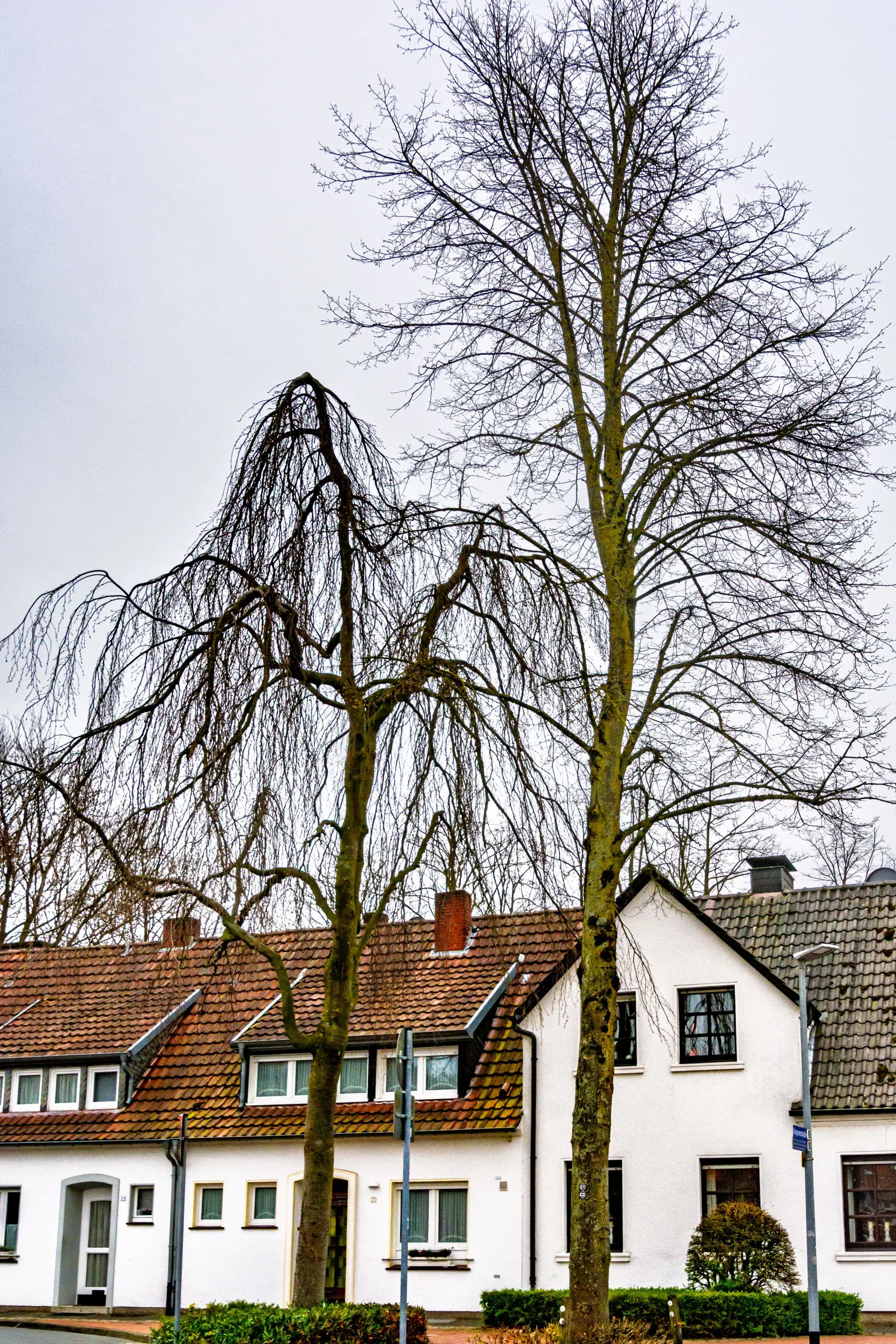 Altbausanierung in Heilbronn – Bestand behutsam modernisieren